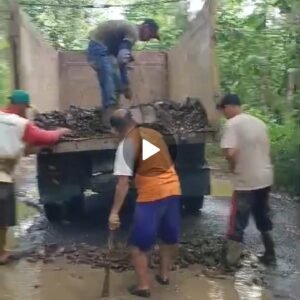 Screenshot_20260317_194638_WhatsAppBusiness