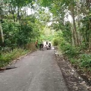 Screenshot_20260317_194658_WhatsAppBusiness