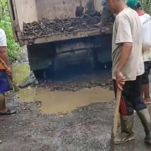 Screenshot_20260317_194704_WhatsAppBusiness